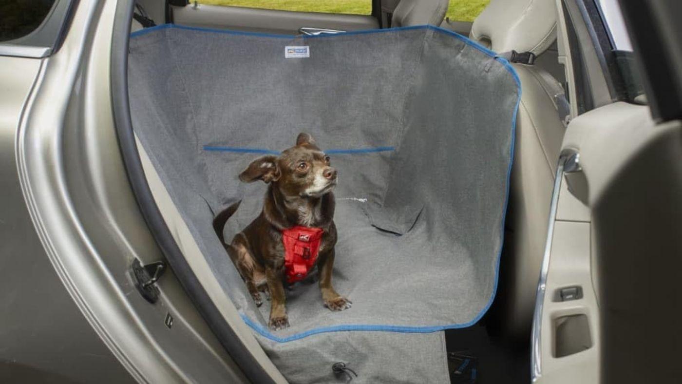 Kurgo Heather Hammock dog seat cover installed in backseat with small dog, ideal for under 25 lb breeds.